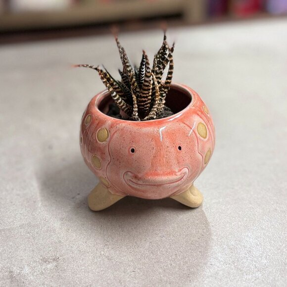 Pink Fish Mini Planter Pot | Tropical Shaped Fish Pot | 5" x 3" - Picture 11 of 11